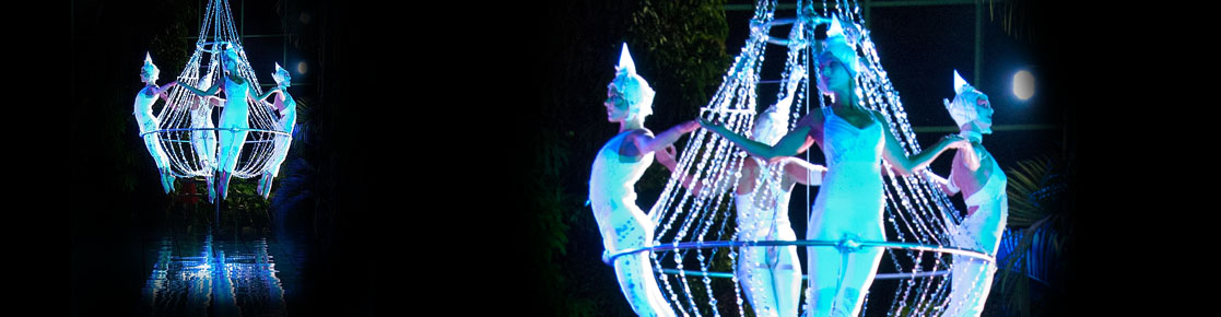 Danza Furiosa Company