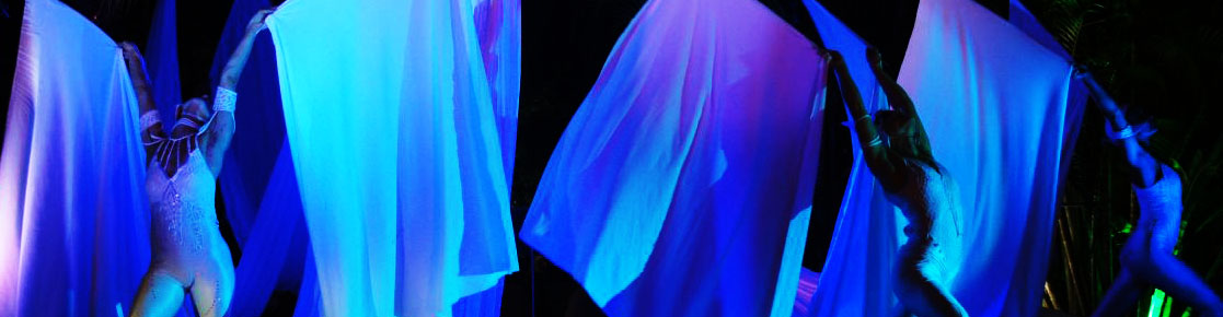 Danza Furiosa Company