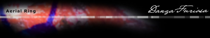 Luftring Titelleiste